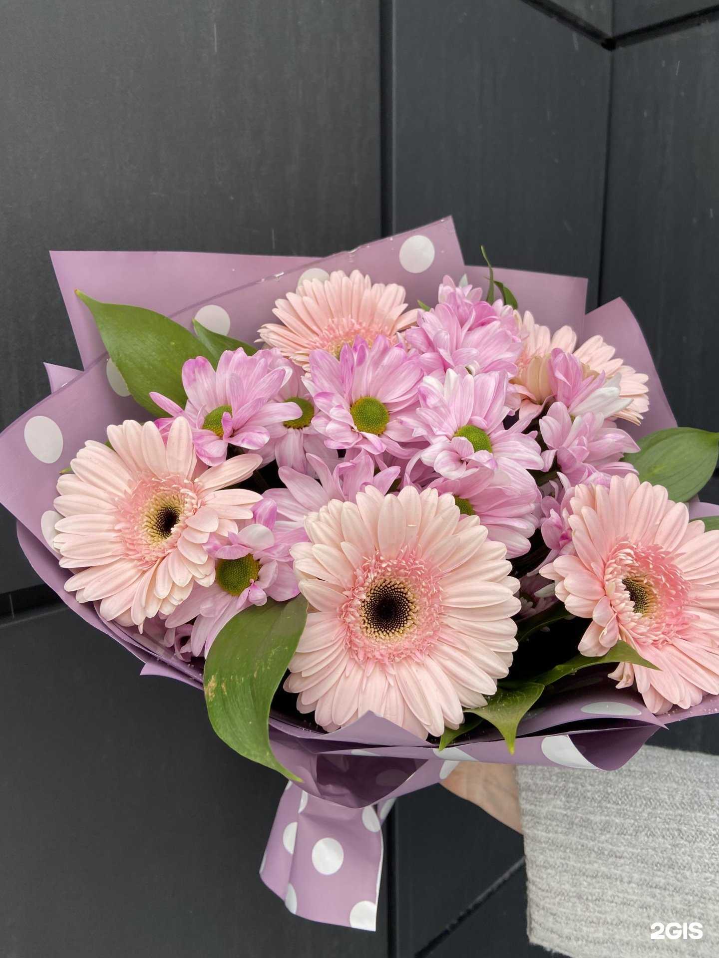 Отзывы на компанию Пионика в г. Оренбург c фото