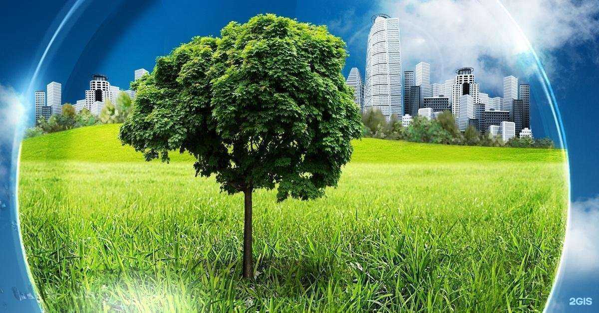 Отзывы на компанию Открытый мир в г. Королёв c фото