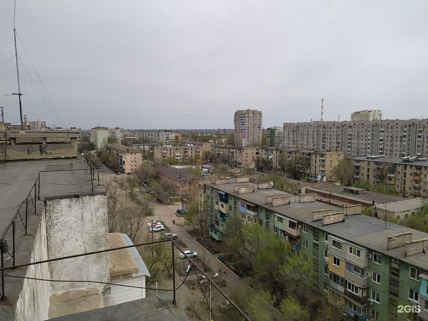 Отзывы на компанию Флорал в Астрахани c фото - фотография 2 из 2