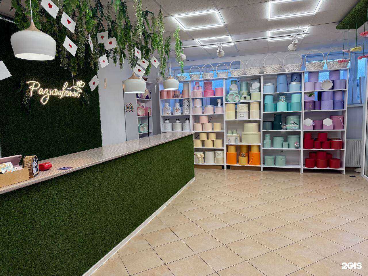 Отзывы на компанию Разноцветы в Светлогорске c фото