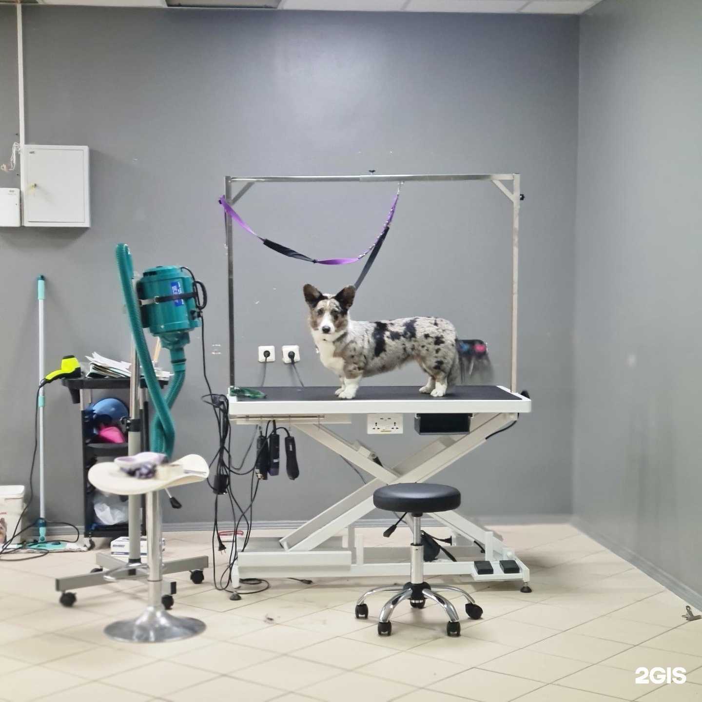 Отзывы на компанию Бонсари в Воронеже c фото