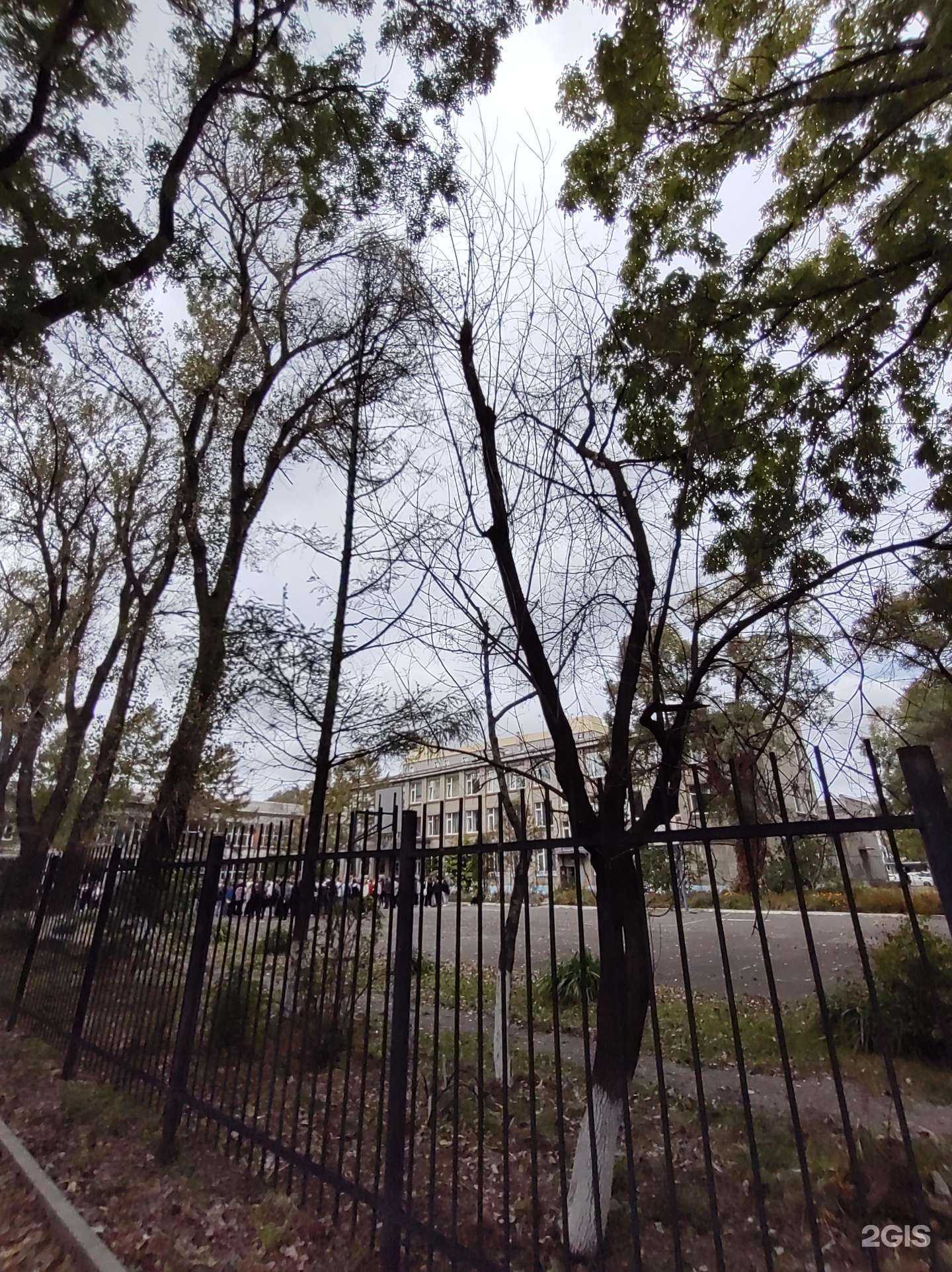 Отзывы на компанию Федерация чирлидинга и чир спорта Приморского края в г. Уссурийск c фото