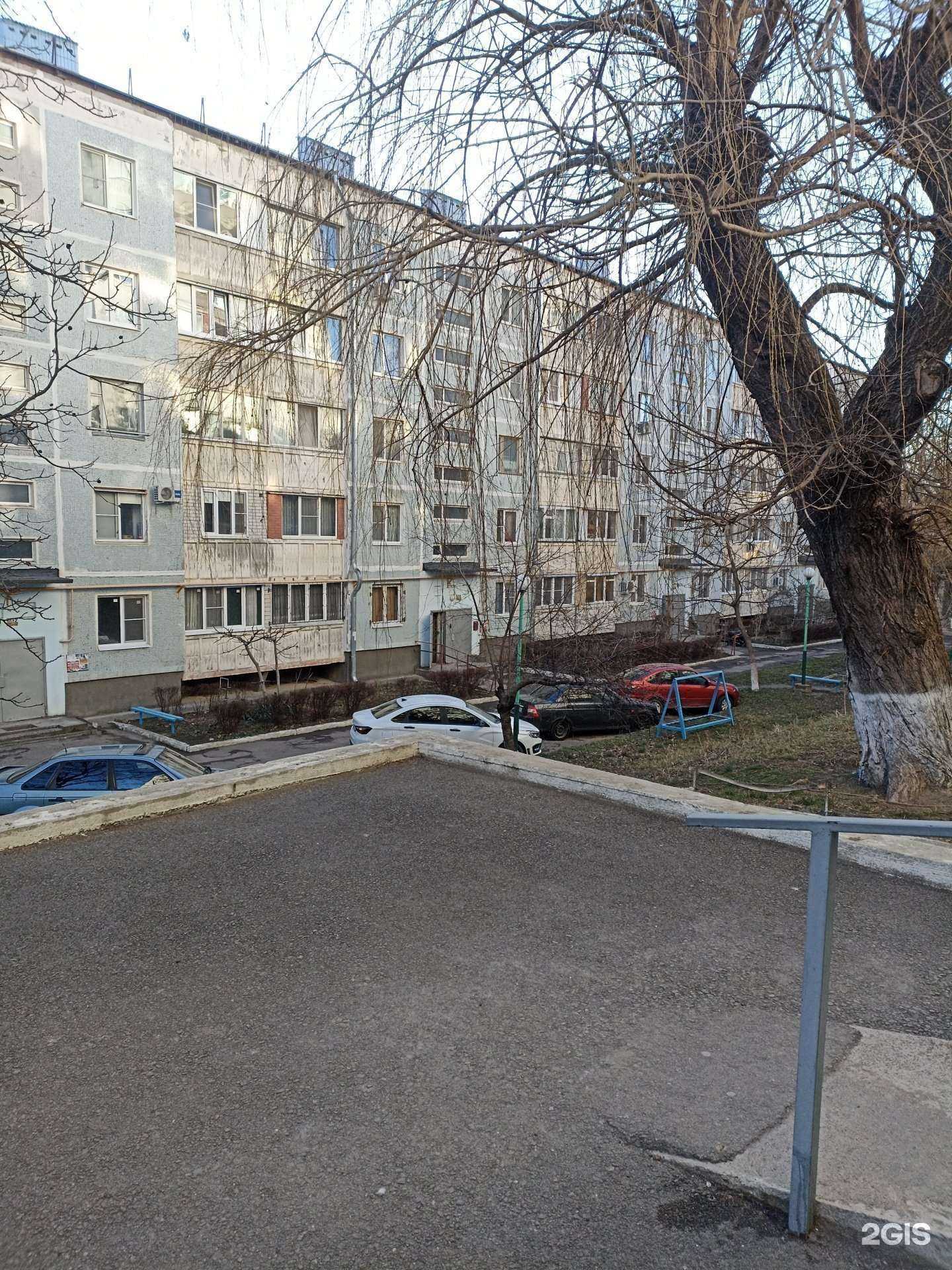 Отзывы на компанию Дельфин в Железноводске c фото