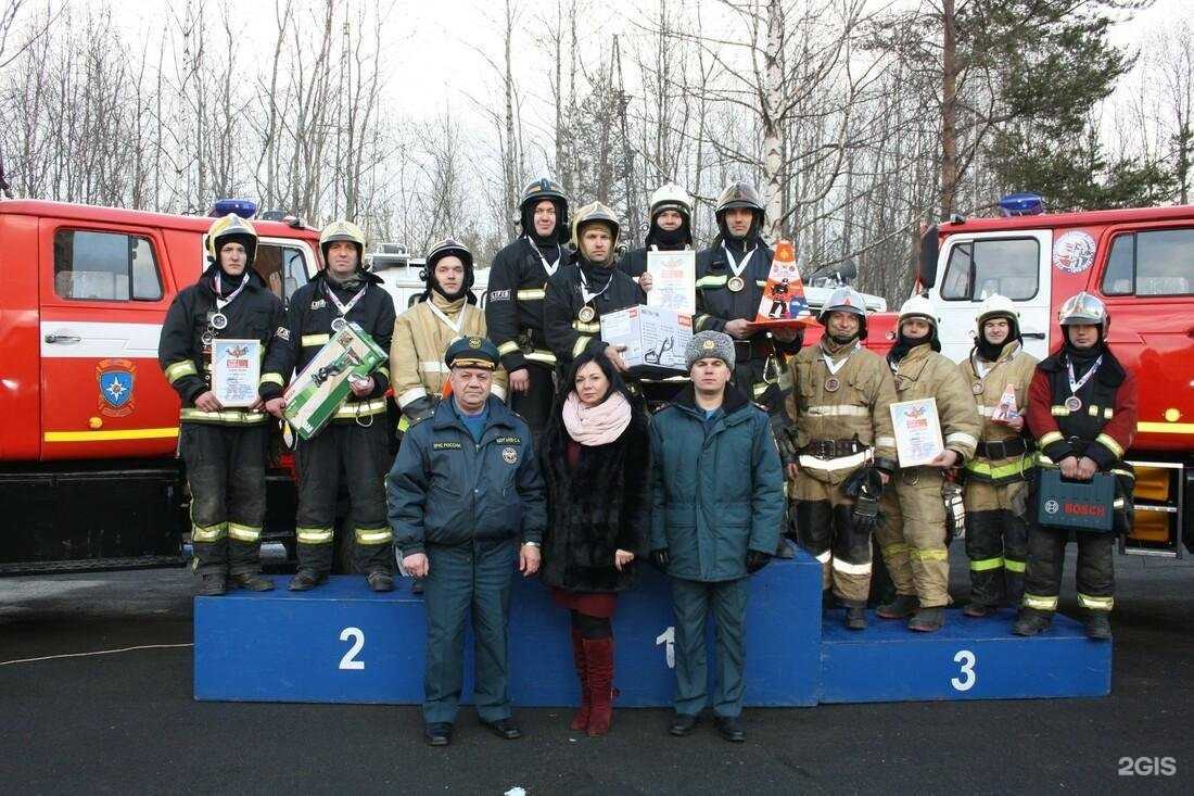 Отзывы на компанию Дракар в Петрозаводске c фото