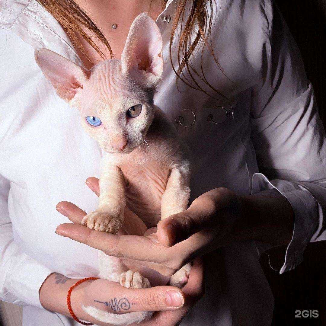 Отзывы на компанию Центр профессионального обучения маникюру в г. Сызрань c фото