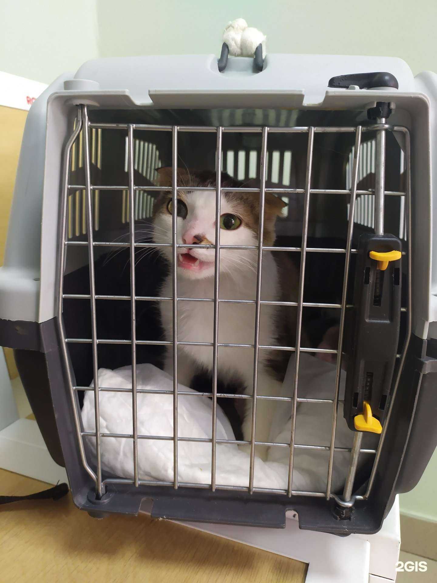 Отзывы на компанию Рада в г. Екатеринбург c фото