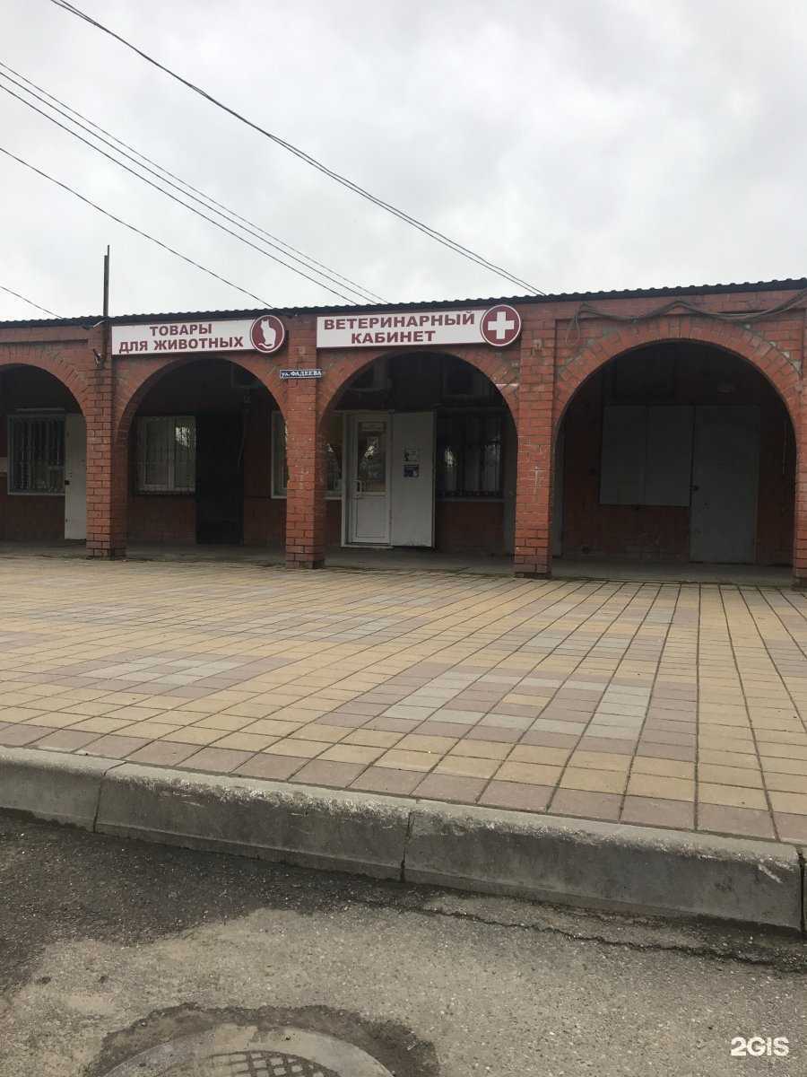 Отзывы на компанию Pro Permanent&Tattoo в Краснодаре c фото - фотография 2 из 2