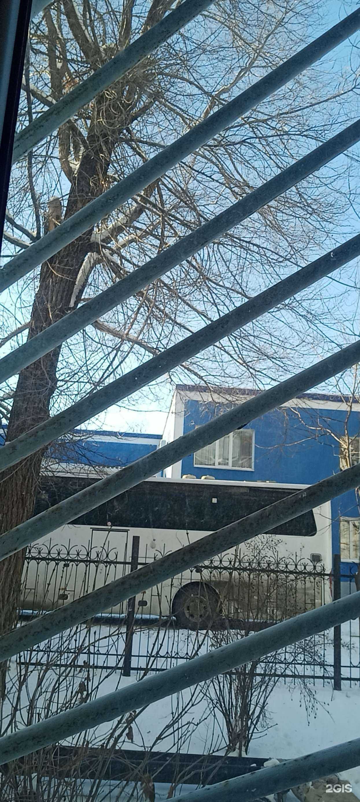 Отзывы на компанию Компания по производству и продаже сборов на меду в Оренбурге c фото