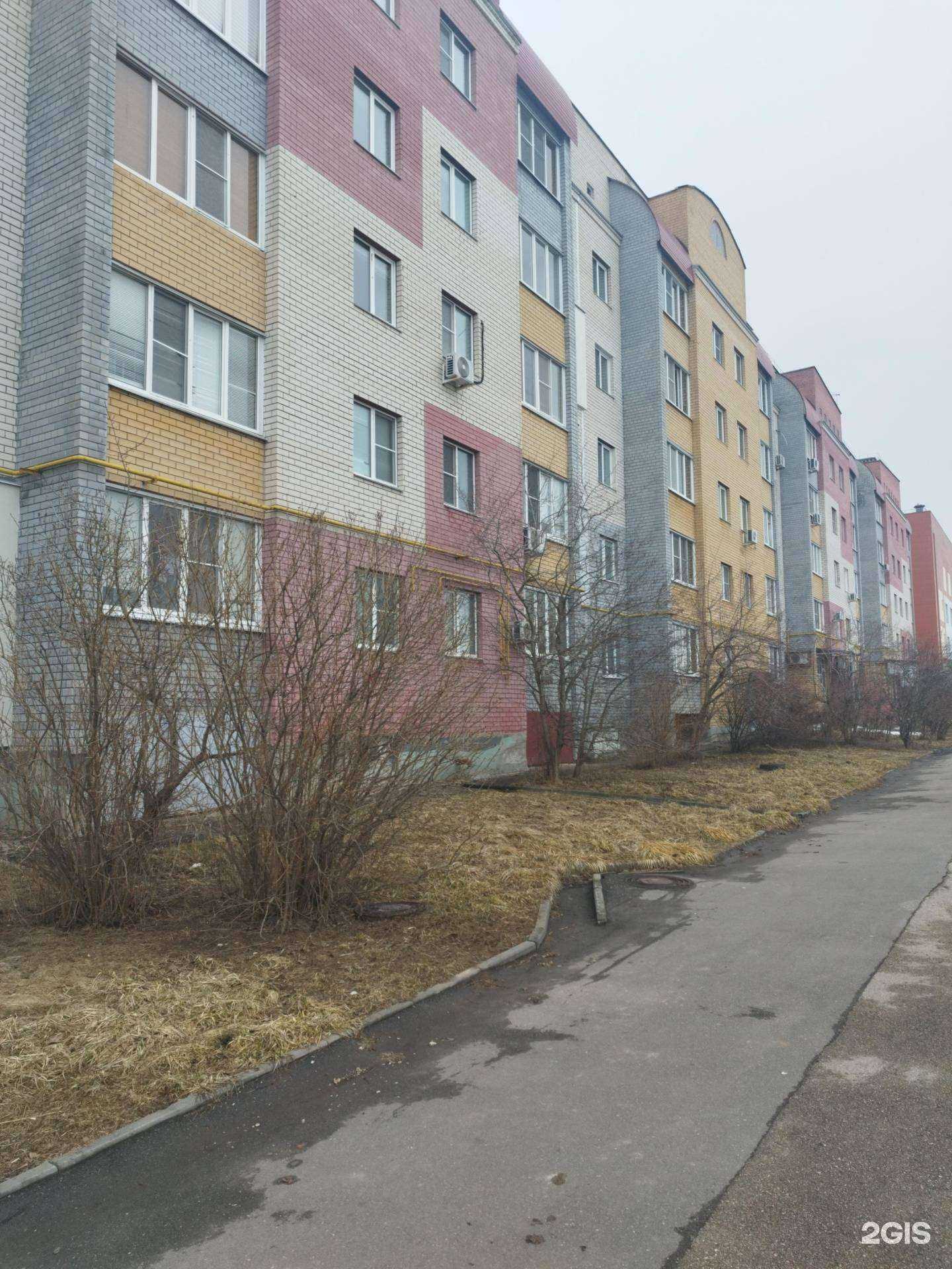 Отзывы на компанию Мир вкуса в Кстове c фото - фотография 2 из 2