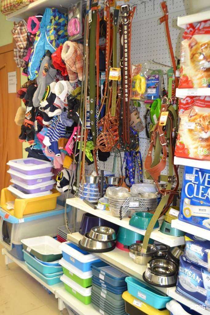 Отзывы на компанию Аквариум в Саранске c фото