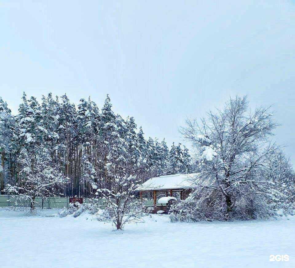 Отзывы на компанию Деревня Деда Мороза в Воронеже c фото