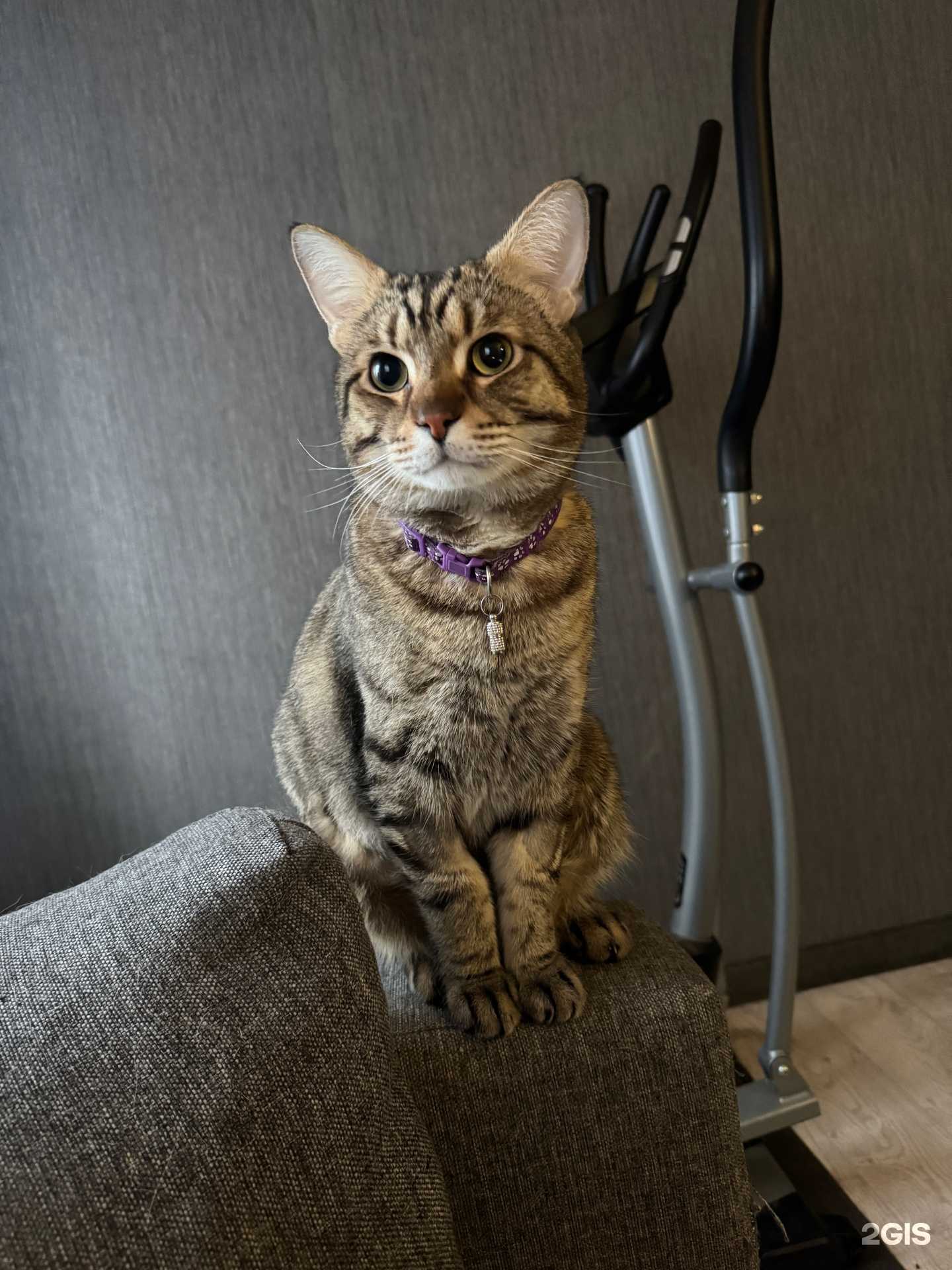 Отзывы на компанию UfaVet в г. Уфа c фото