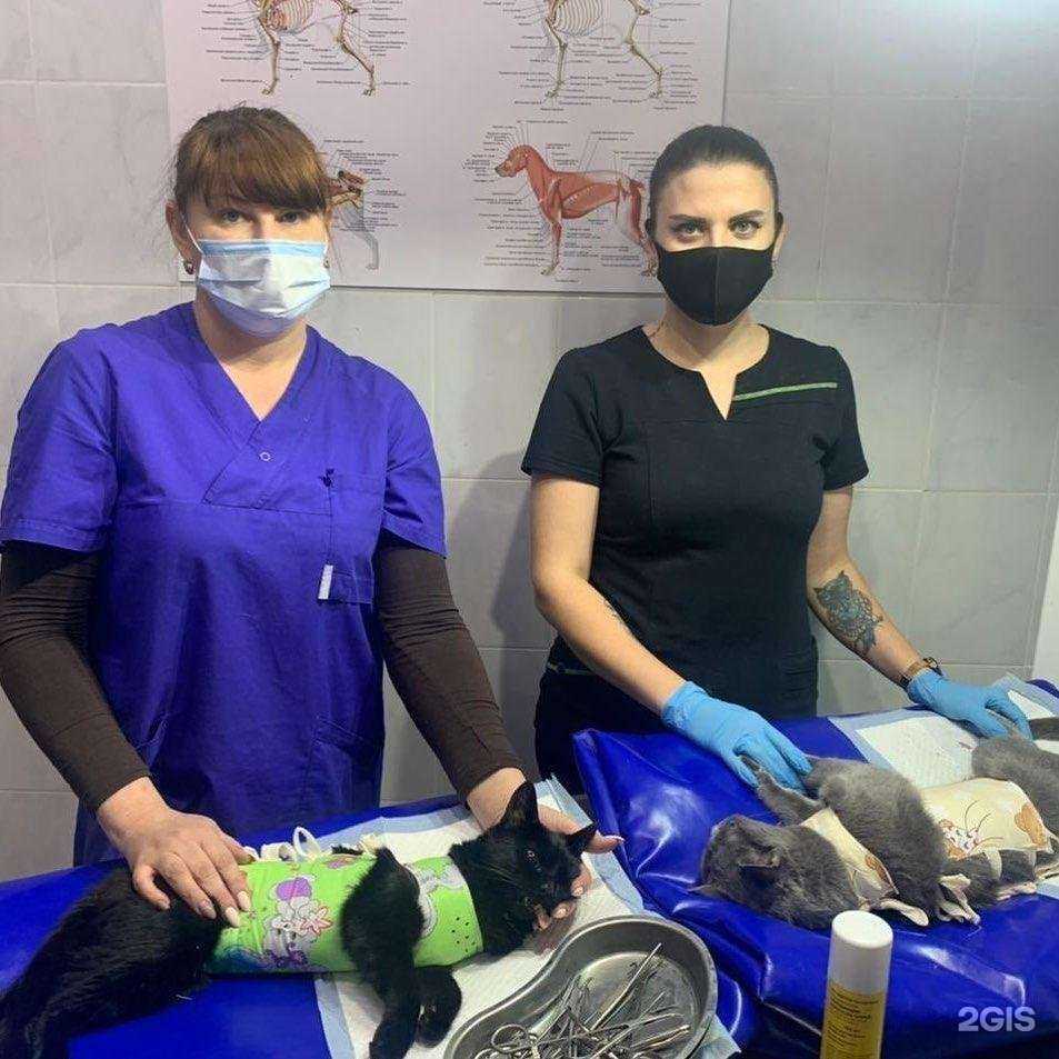 Отзывы на компанию Зоомагазин ​ в Геленджике c фото