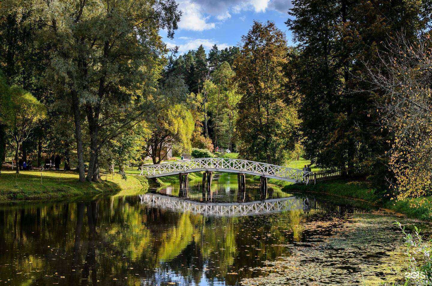 Отзывы на компанию Глобус в Пскове c фото