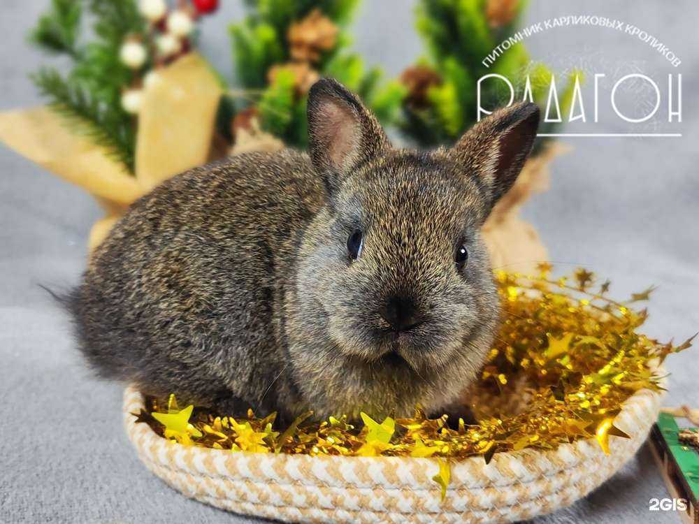 Отзывы на компанию Радагон в г. Долгопрудный c фото