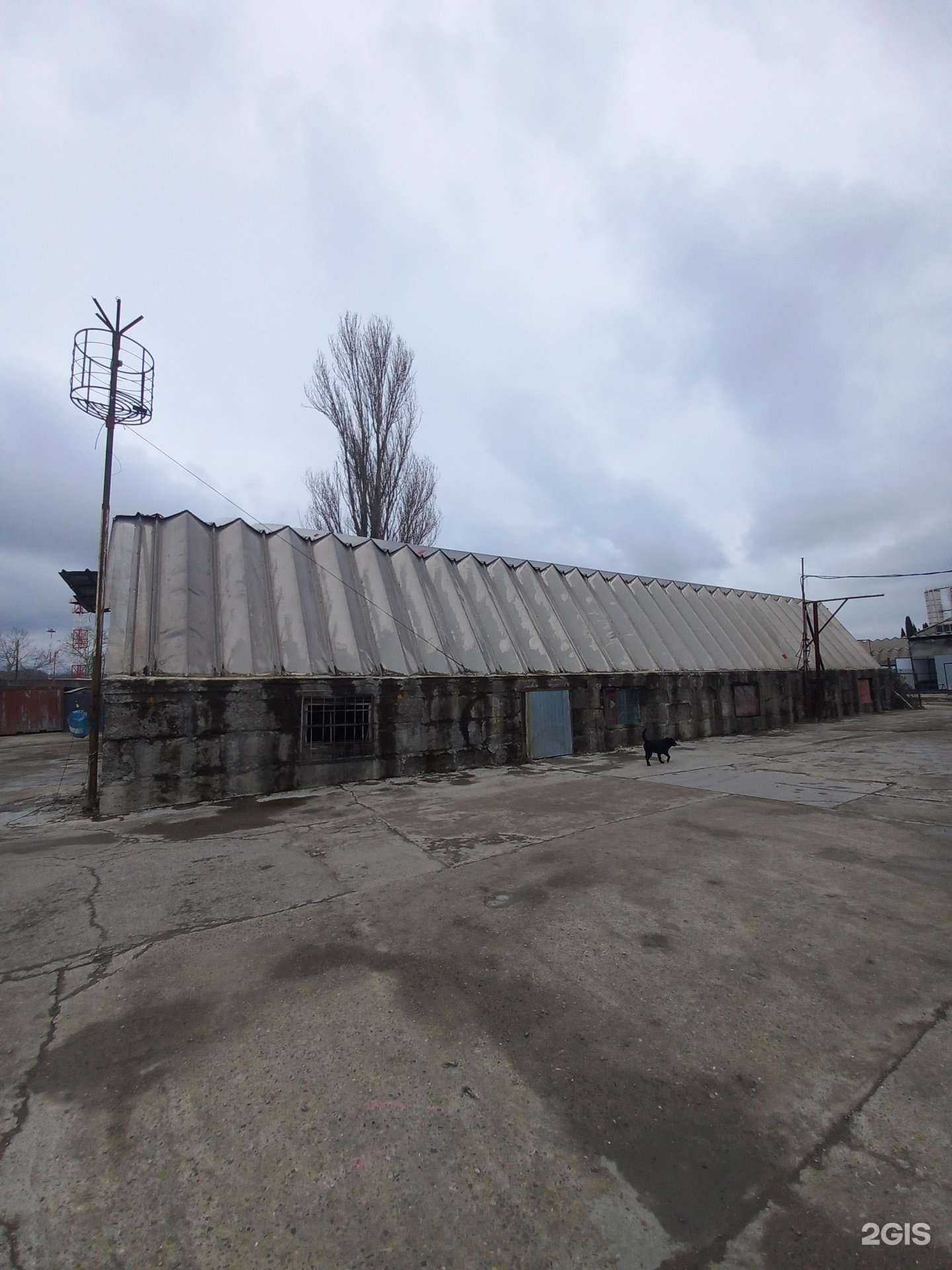 Отзывы на компанию Компания по аренде и продаже спецтехники в Сочи c фото - фотография 2 из 2