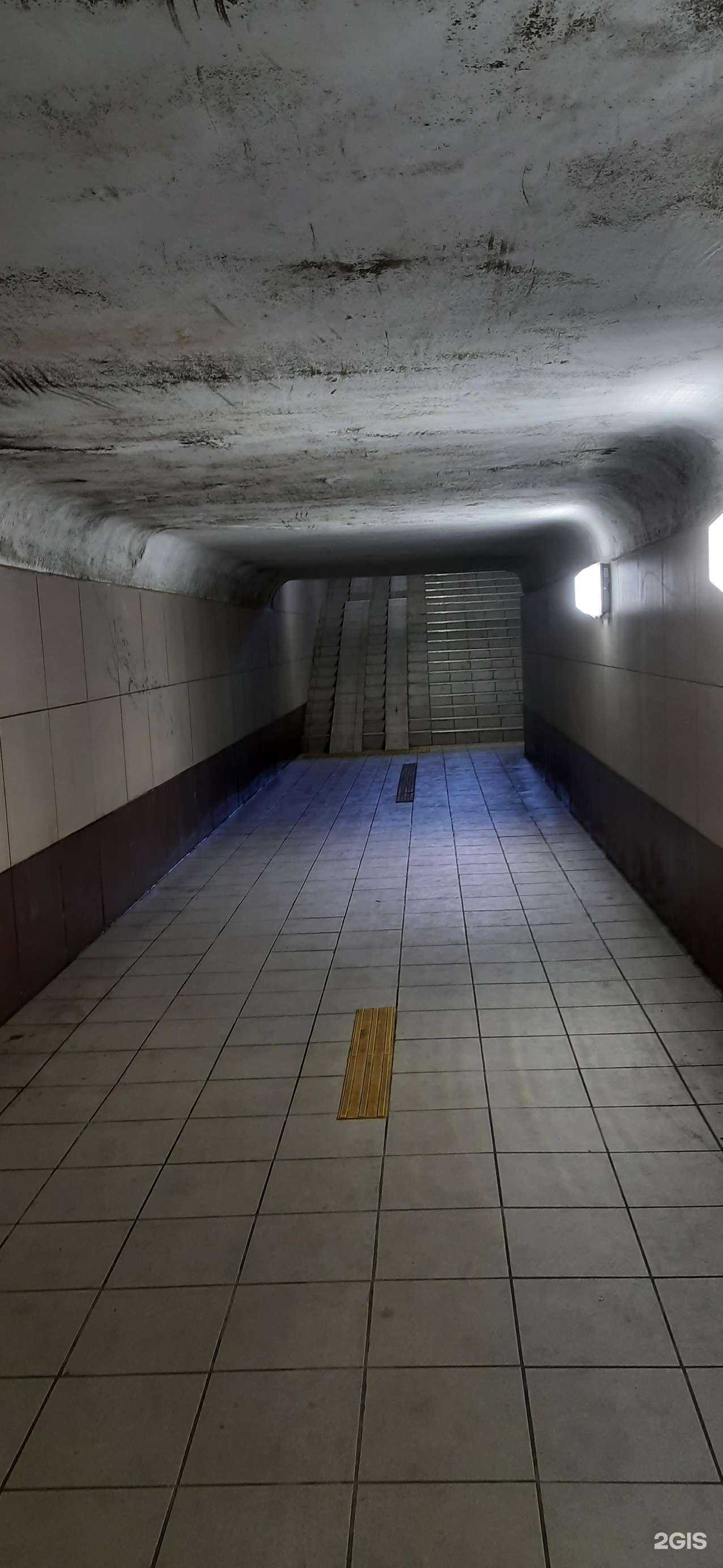 Отзывы на компанию Gurmam-ptitsa в Сызрани c фото - фотография 2 из 2