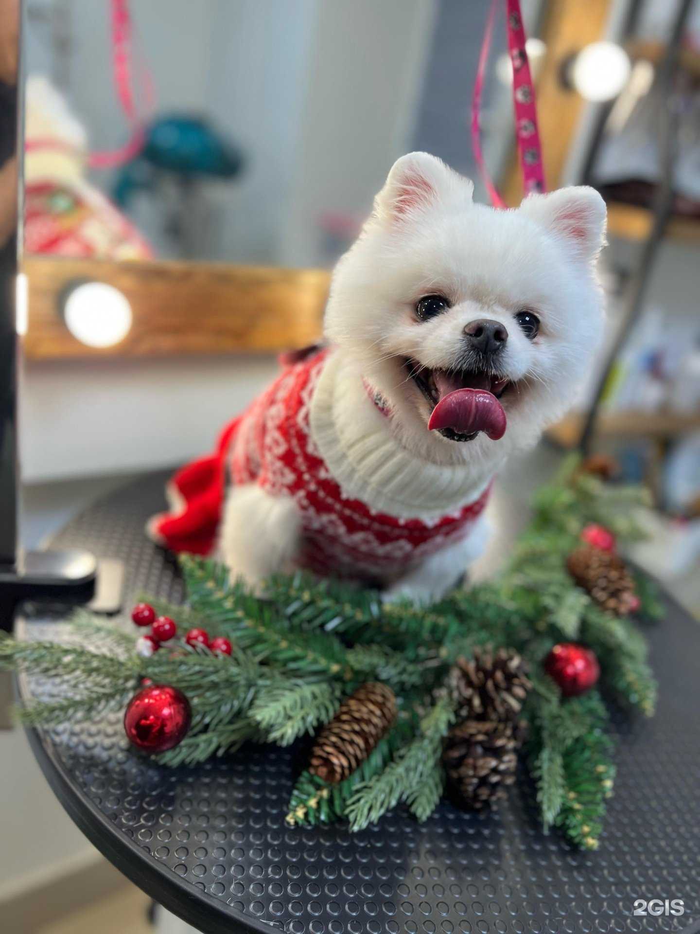 Отзывы на компанию Richi Grooming в Альметьевске c фото