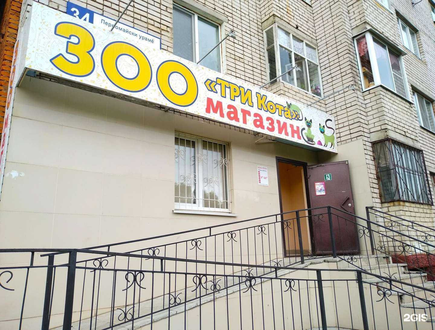 Отзывы на компанию Три Кота в г. Новочебоксарск c фото