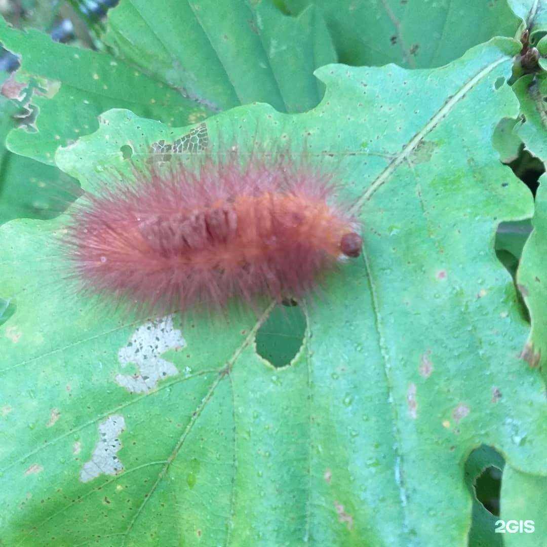 Отзывы на компанию Принт-сервис в г. Уссурийск c фото