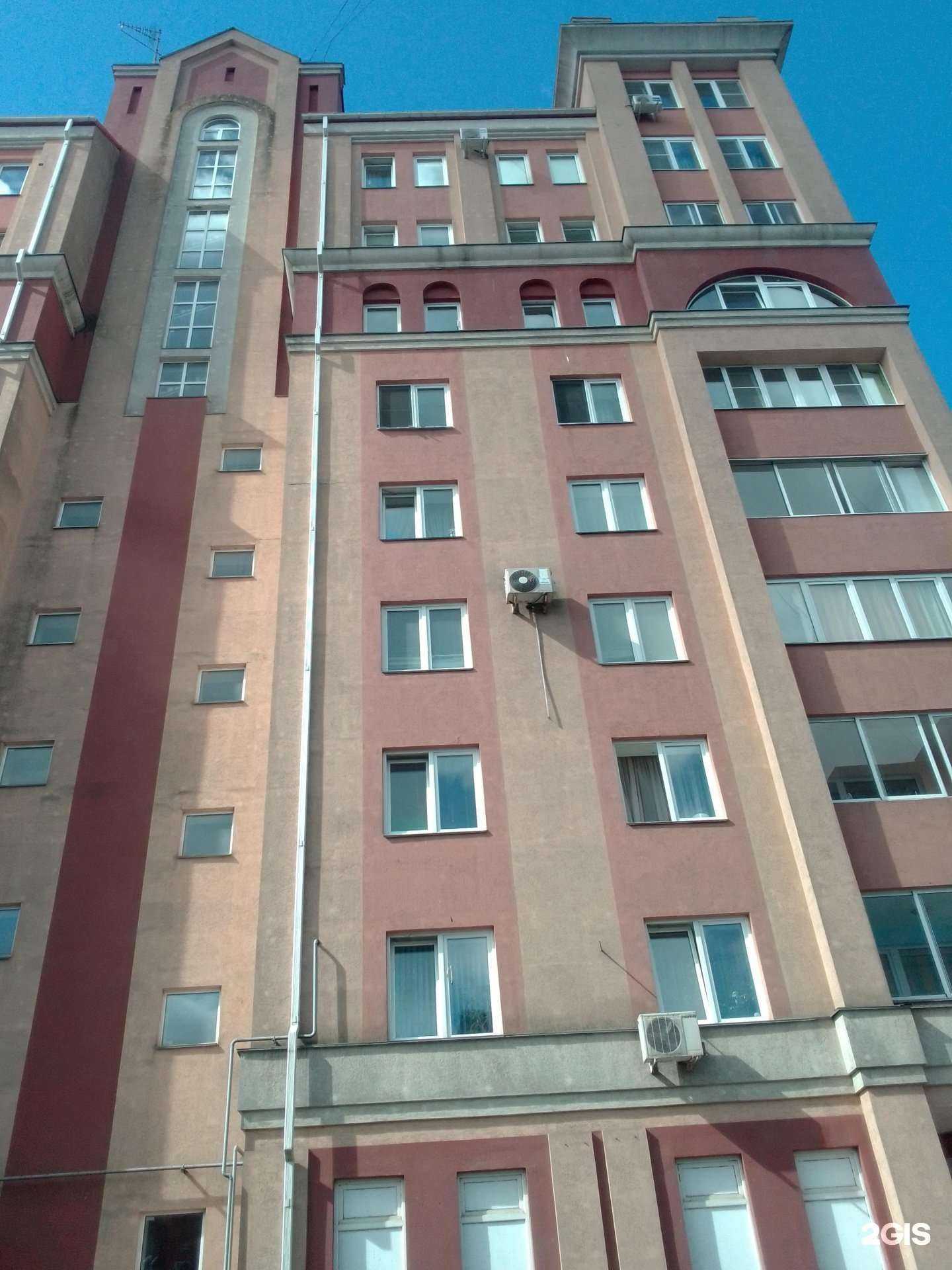 Отзывы на компанию Кот и Пёс в Иванове c фото - фотография 2 из 2