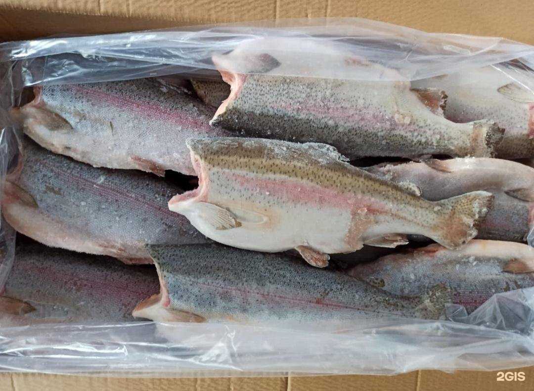 Отзывы на компанию Море рыбы в Уфе c фото