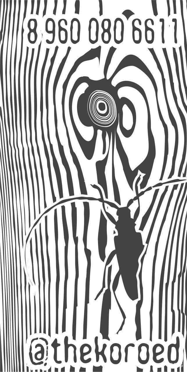 Отзывы на компанию Короед в г. Казань c фото