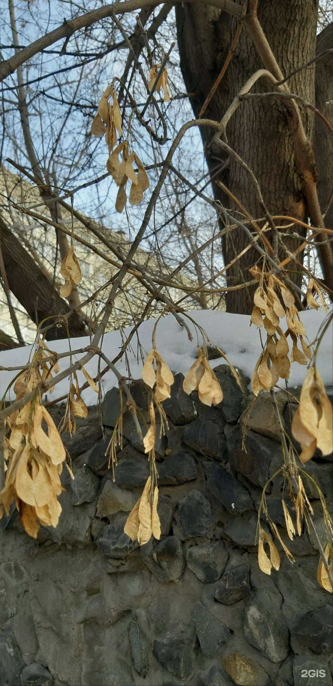 Отзывы на компанию Продано! в Новосибирске c фото - фотография 2 из 2