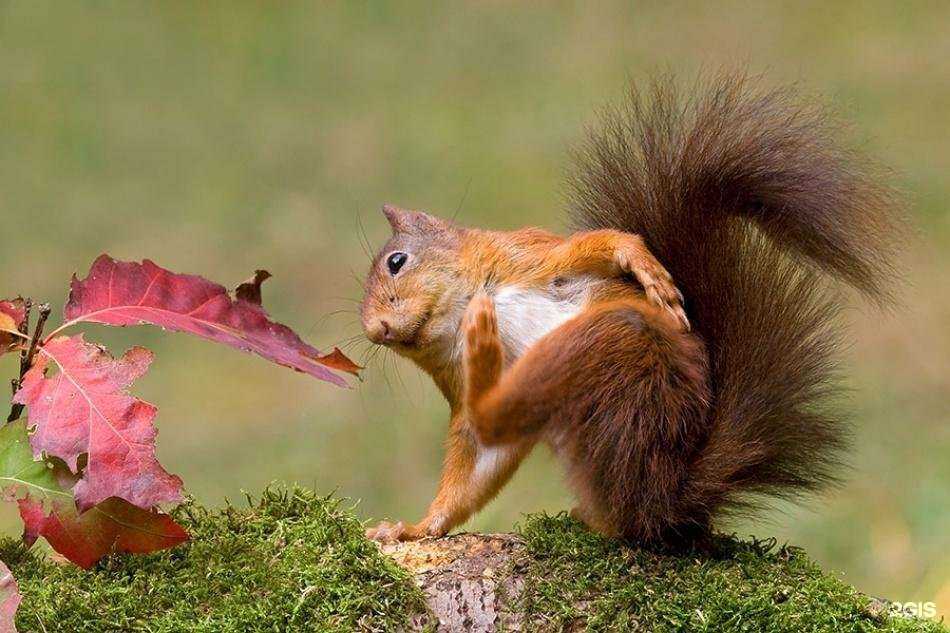 Отзывы на компанию Фармленд в Оренбурге c фото - фотография 2 из 2