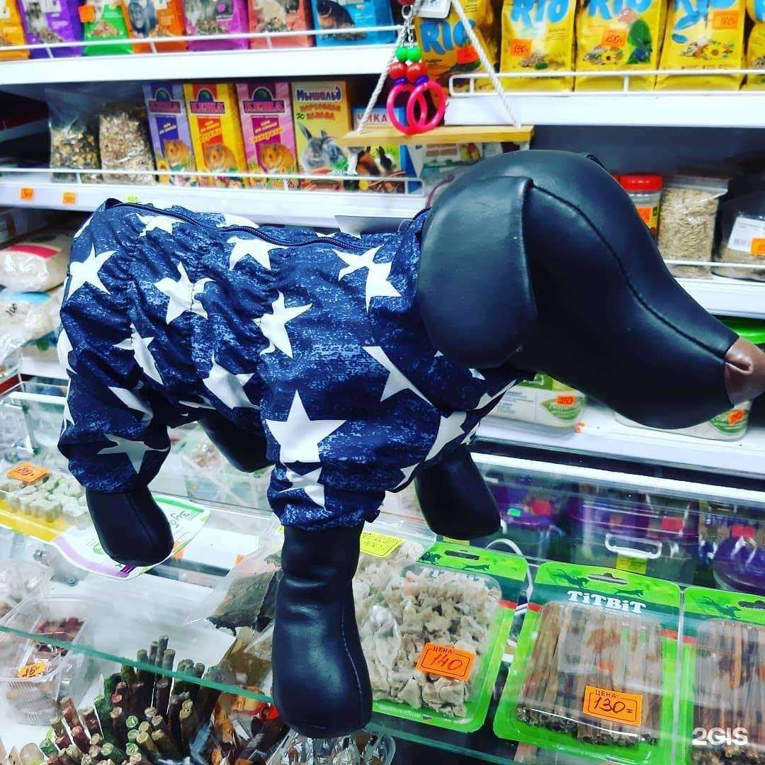 Отзывы на компанию Оазис НЧ в Набережных Челнах c фото