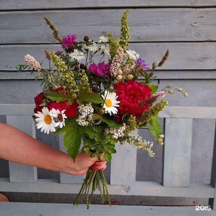 Отзывы на компанию Прованс в Иванове c фото