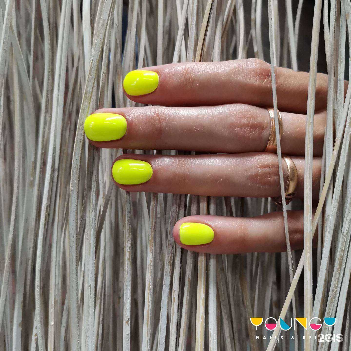 Отзывы на компанию Youngy в г. Воронеж c фото