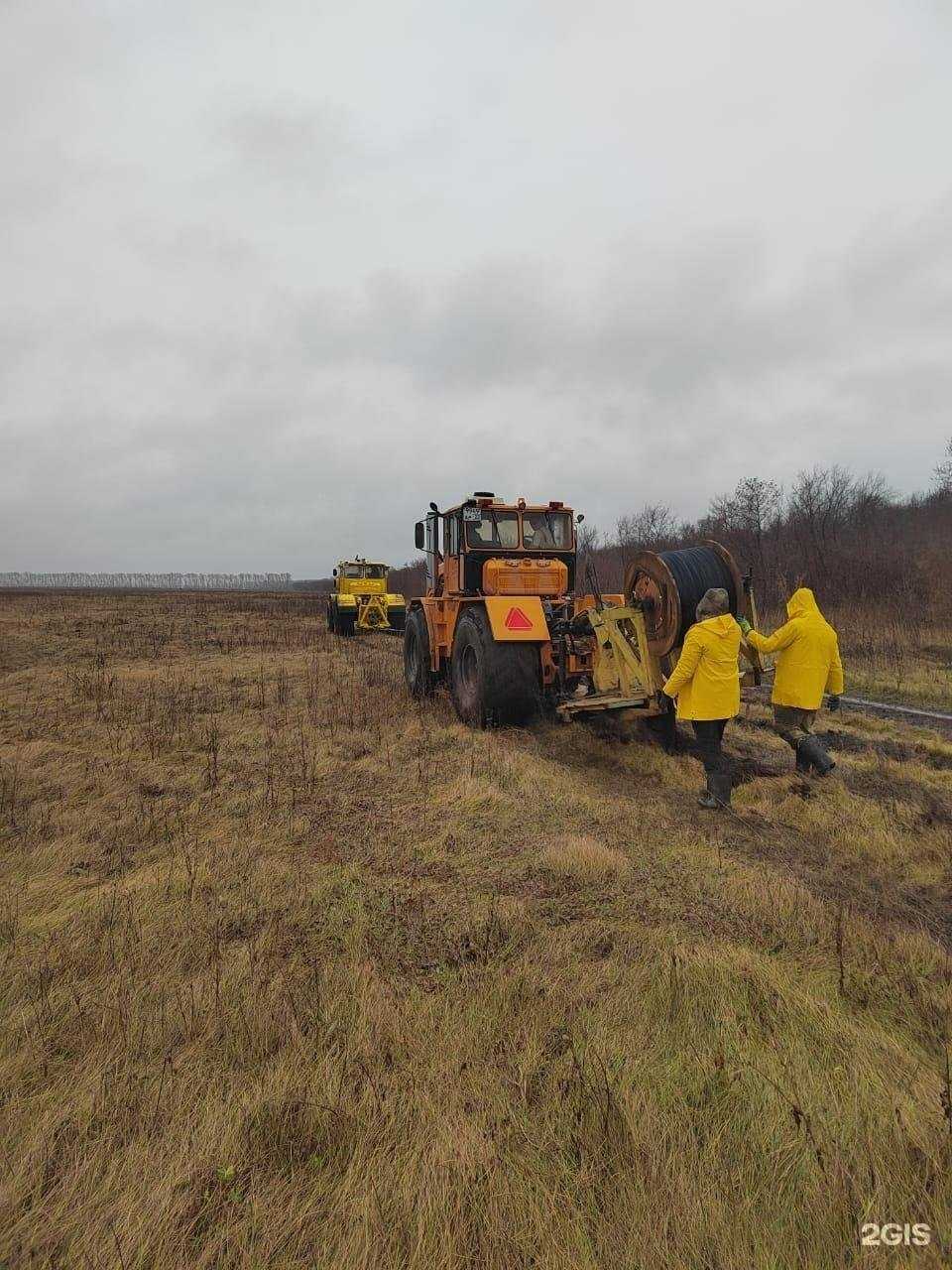 Отзывы на компанию Ск-д в Барнауле c фото