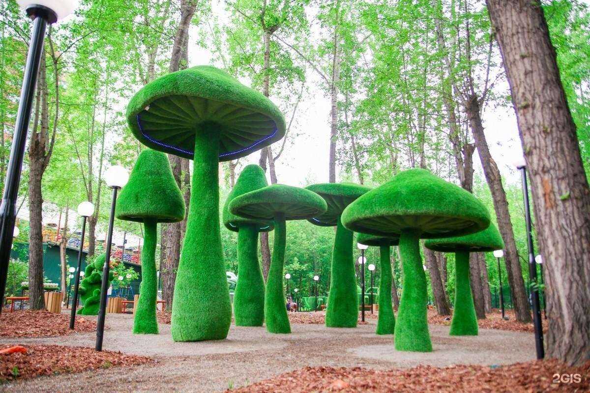 Отзывы на компанию Троя life в Красноярске c фото