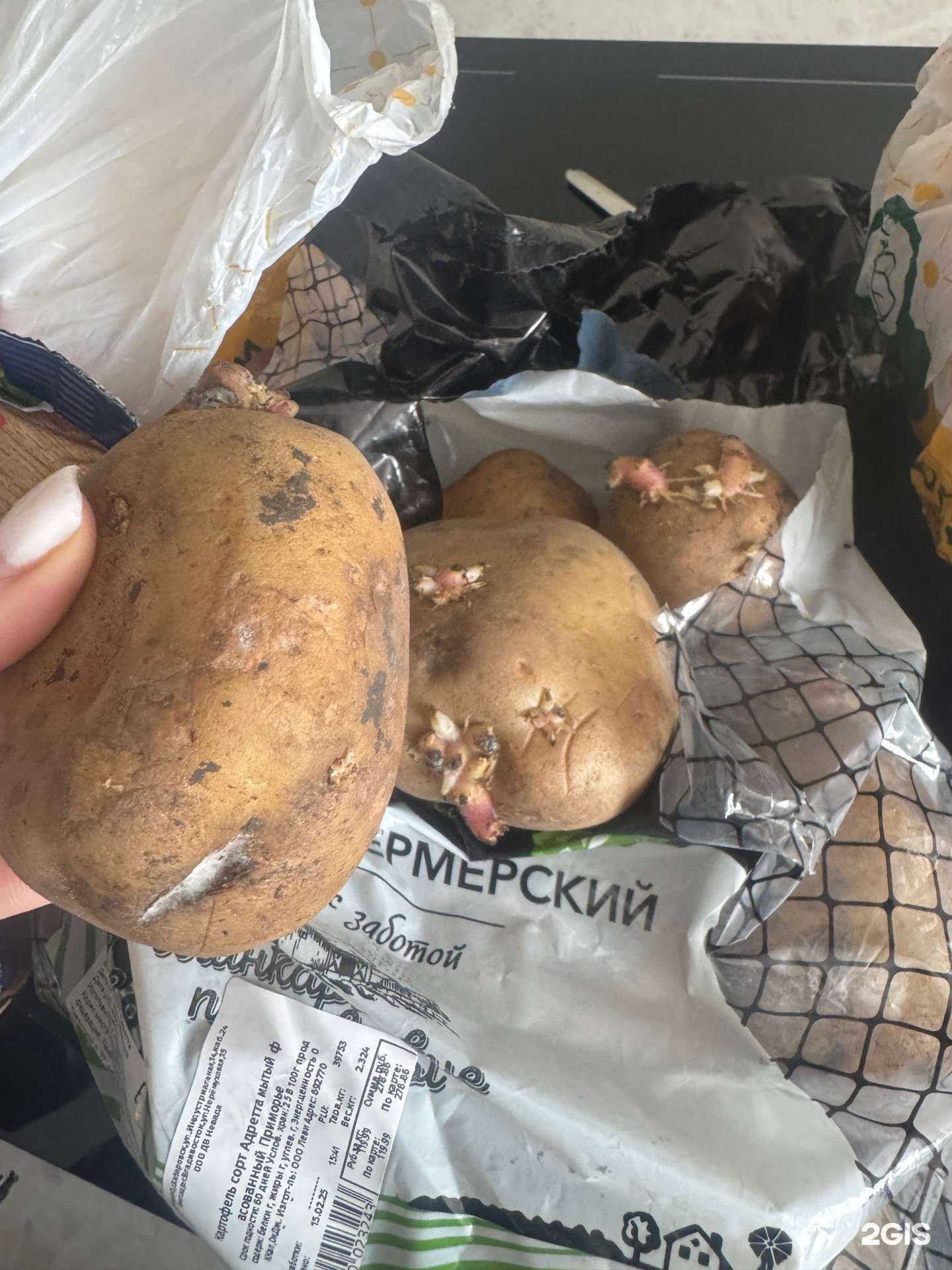 Отзывы на компанию Эмираты в Владивостоке c фото - фотография 2 из 2