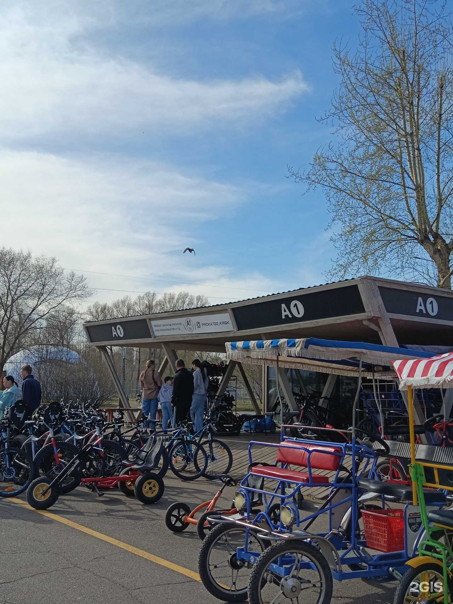 Отзывы на компанию prokat22_krsk в Красноярске c фото