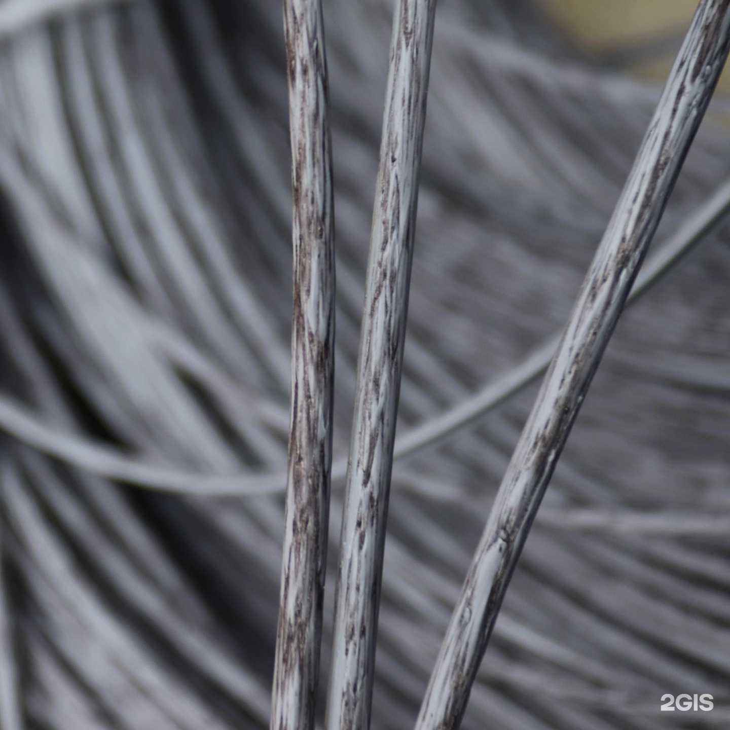 Отзывы на компанию Экоротанг в г. Димитровград c фото