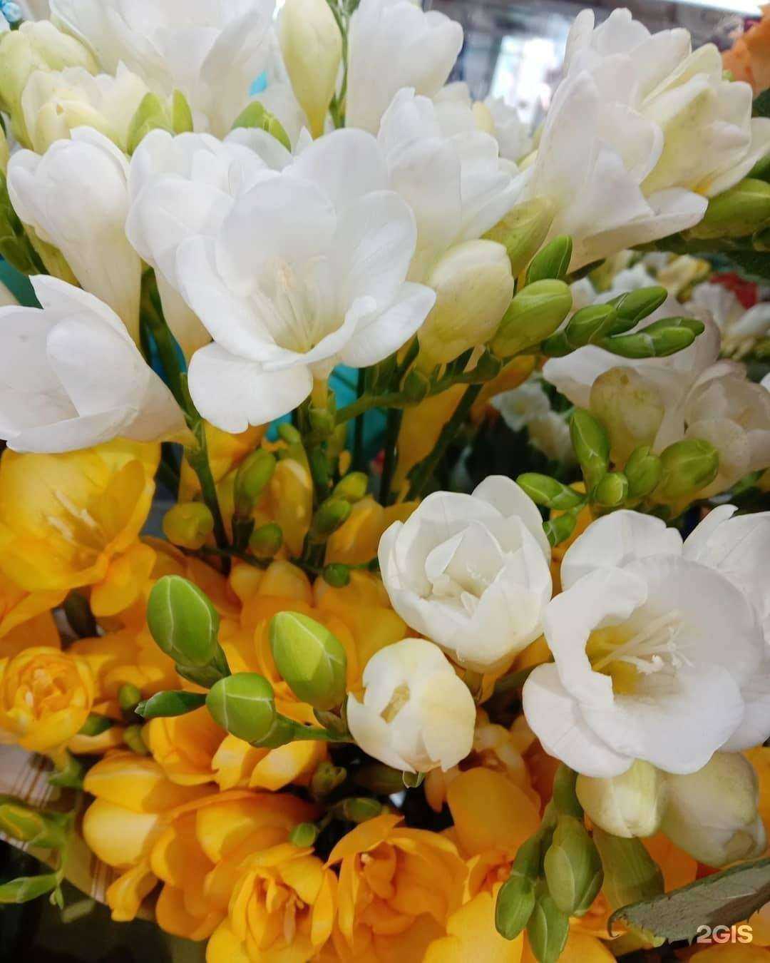 Отзывы на компанию Магазин цветов в г. Коломна c фото