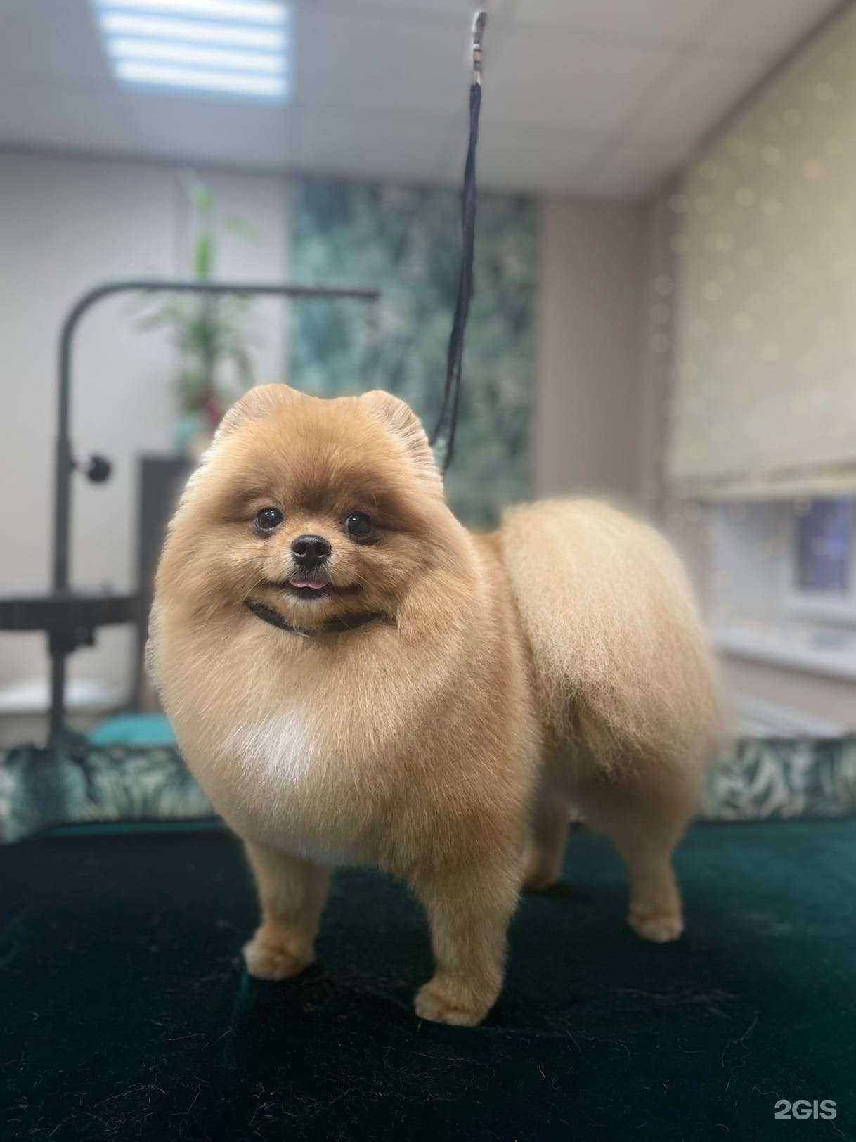 Отзывы на компанию ЙОРК в г. Кострома c фото