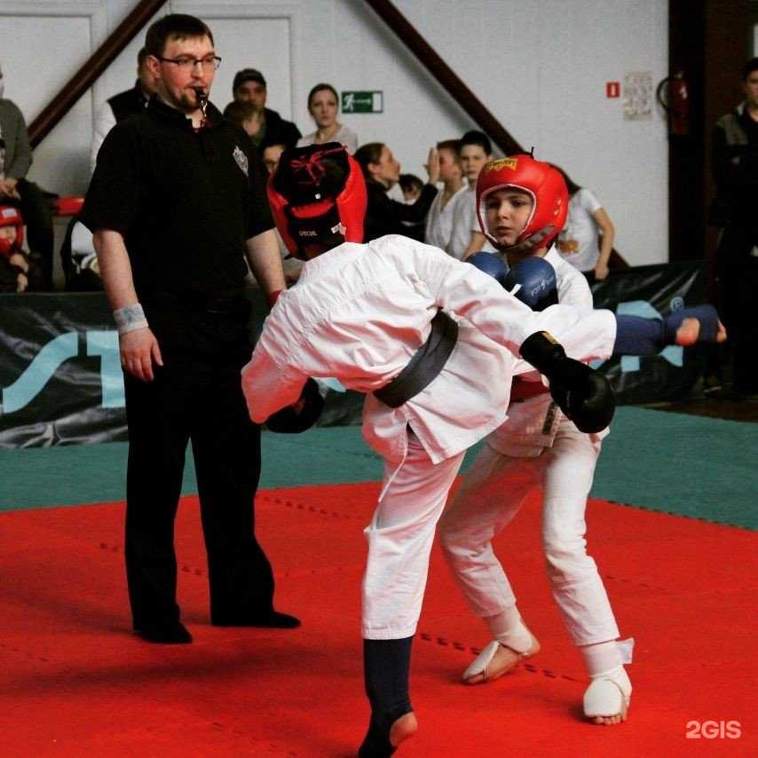 Отзывы на компанию Русич в г. Сургут c фото