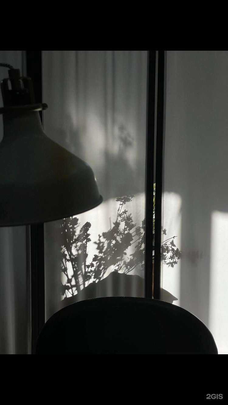 Отзывы на компанию Bellezza в Саратове c фото