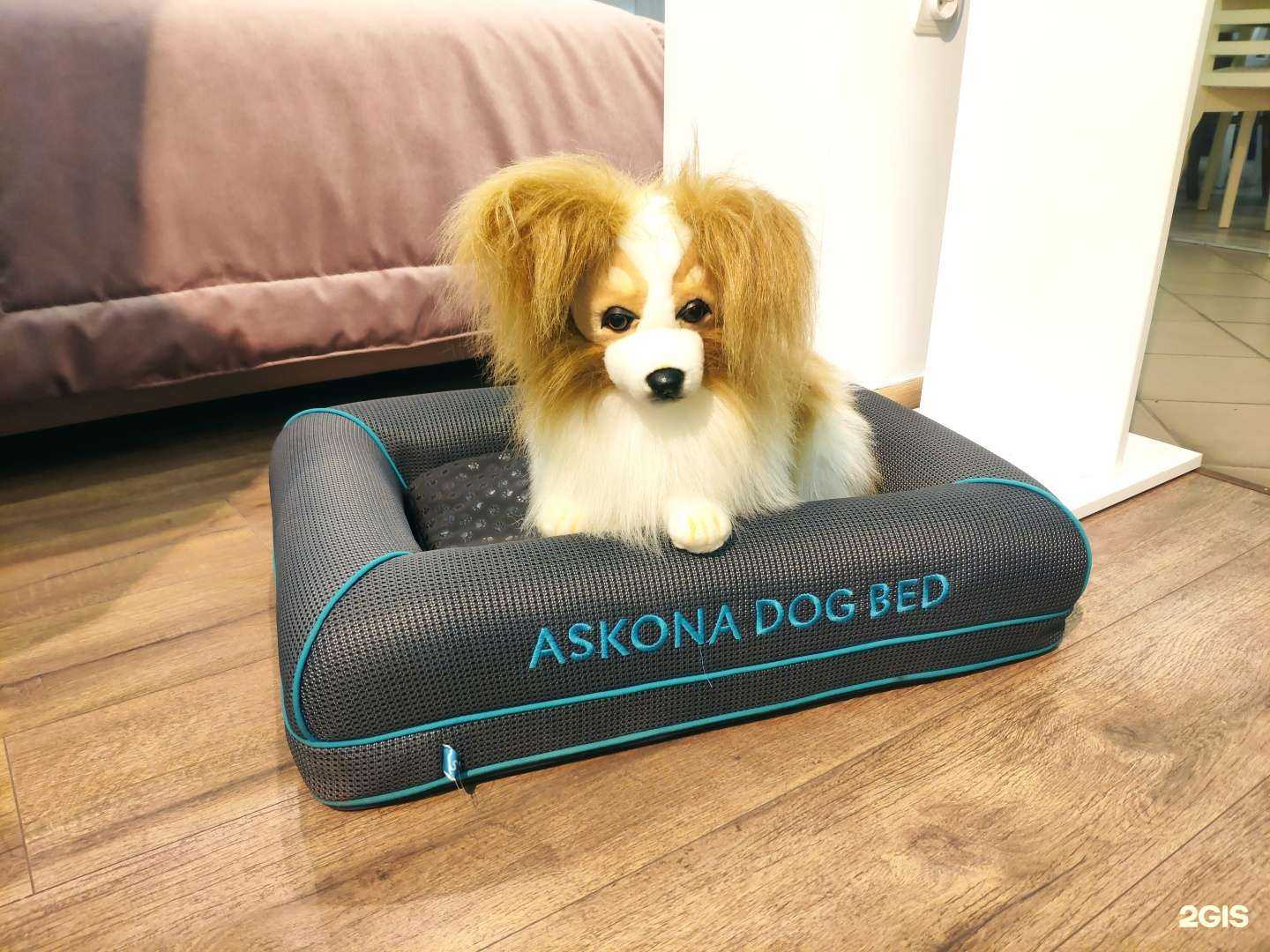 Отзывы на компанию Askona в г. Калининград c фото