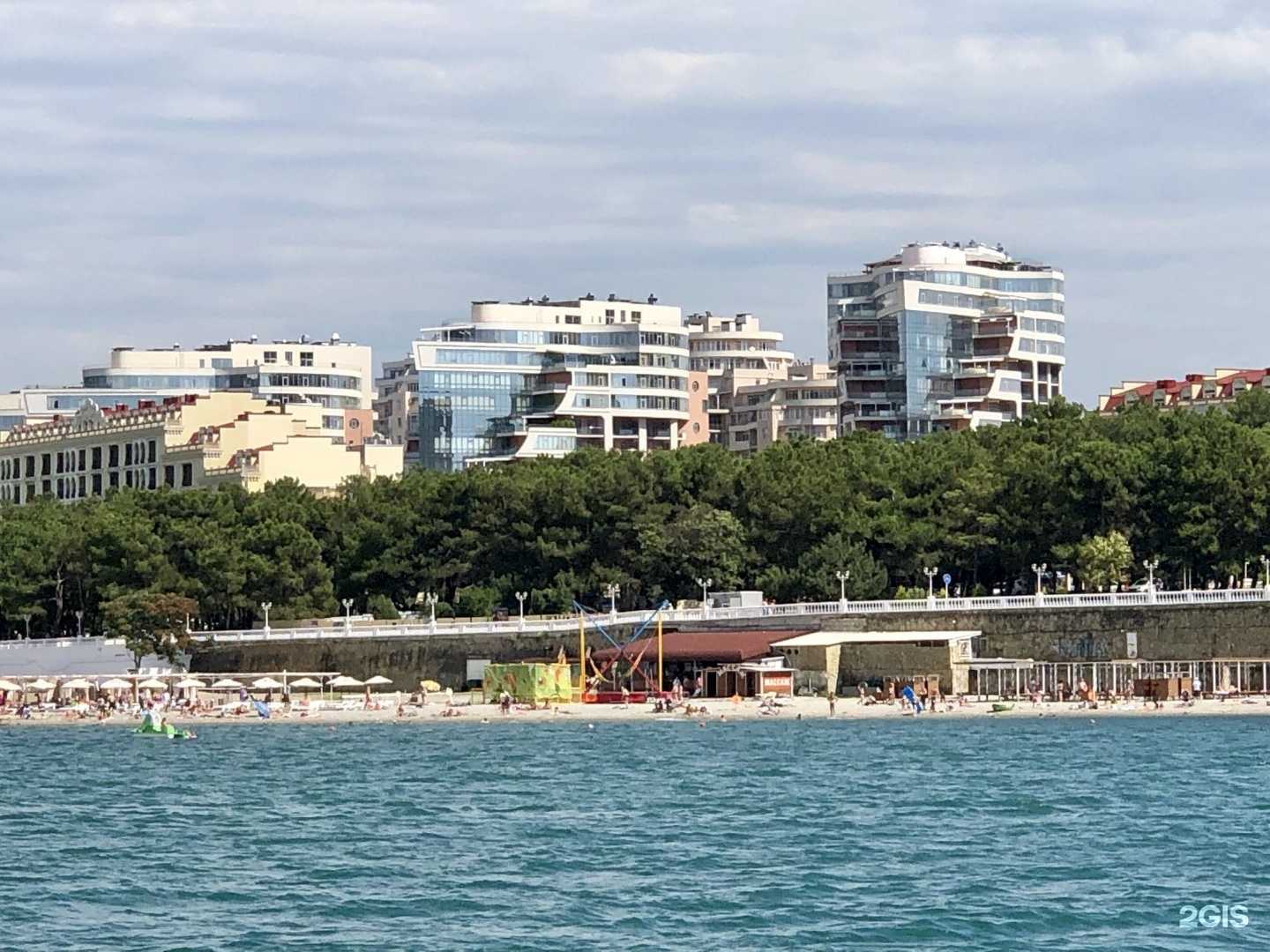 Отзывы на компанию Royal cat в Геленджике c фото - фотография 2 из 2