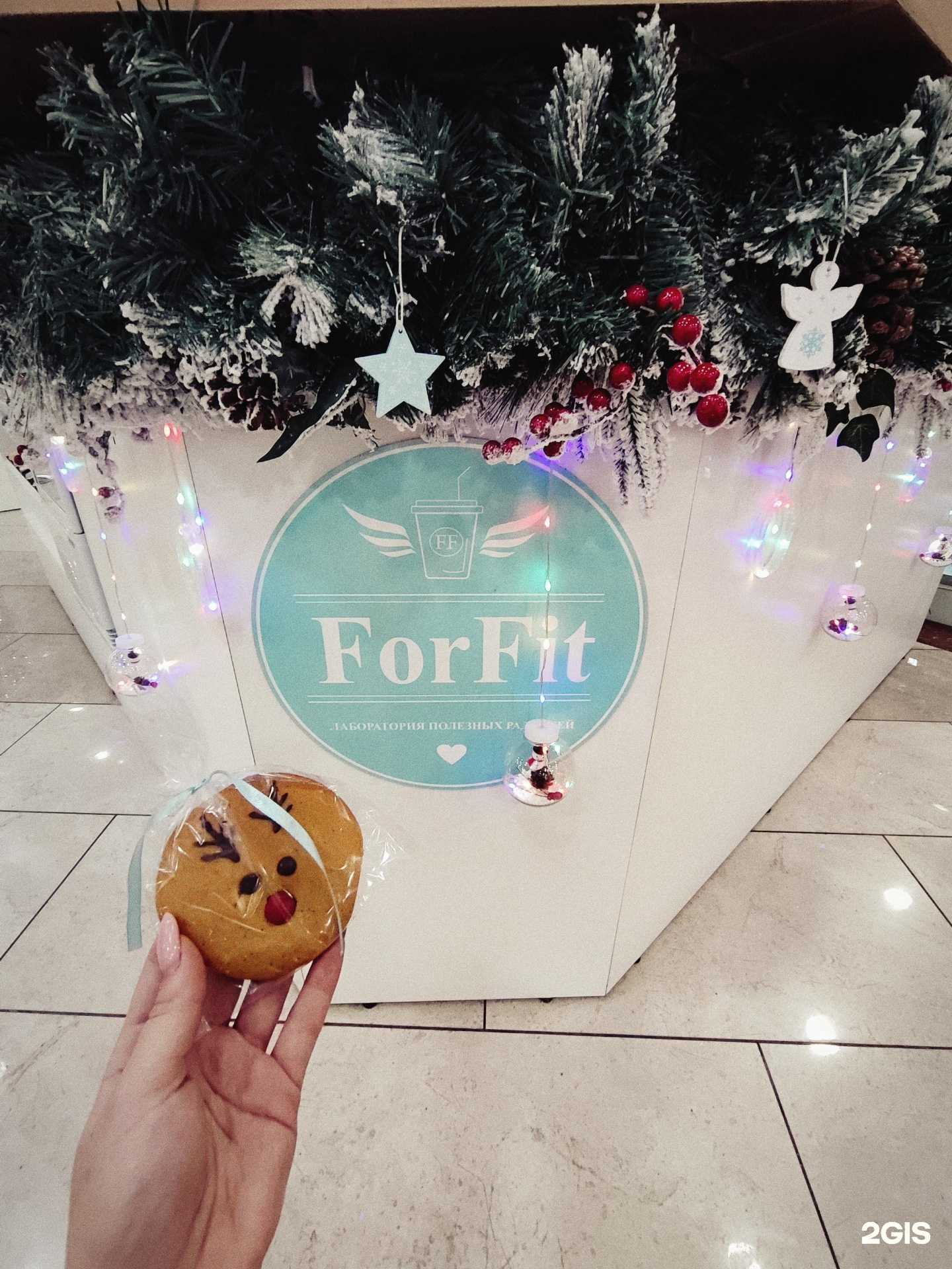 Отзывы на компанию Forfit в г. Петропавловск-Камчатский c фото