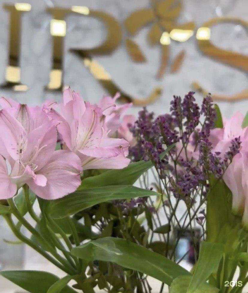 Отзывы на компанию IRIS в Кемерове c фото