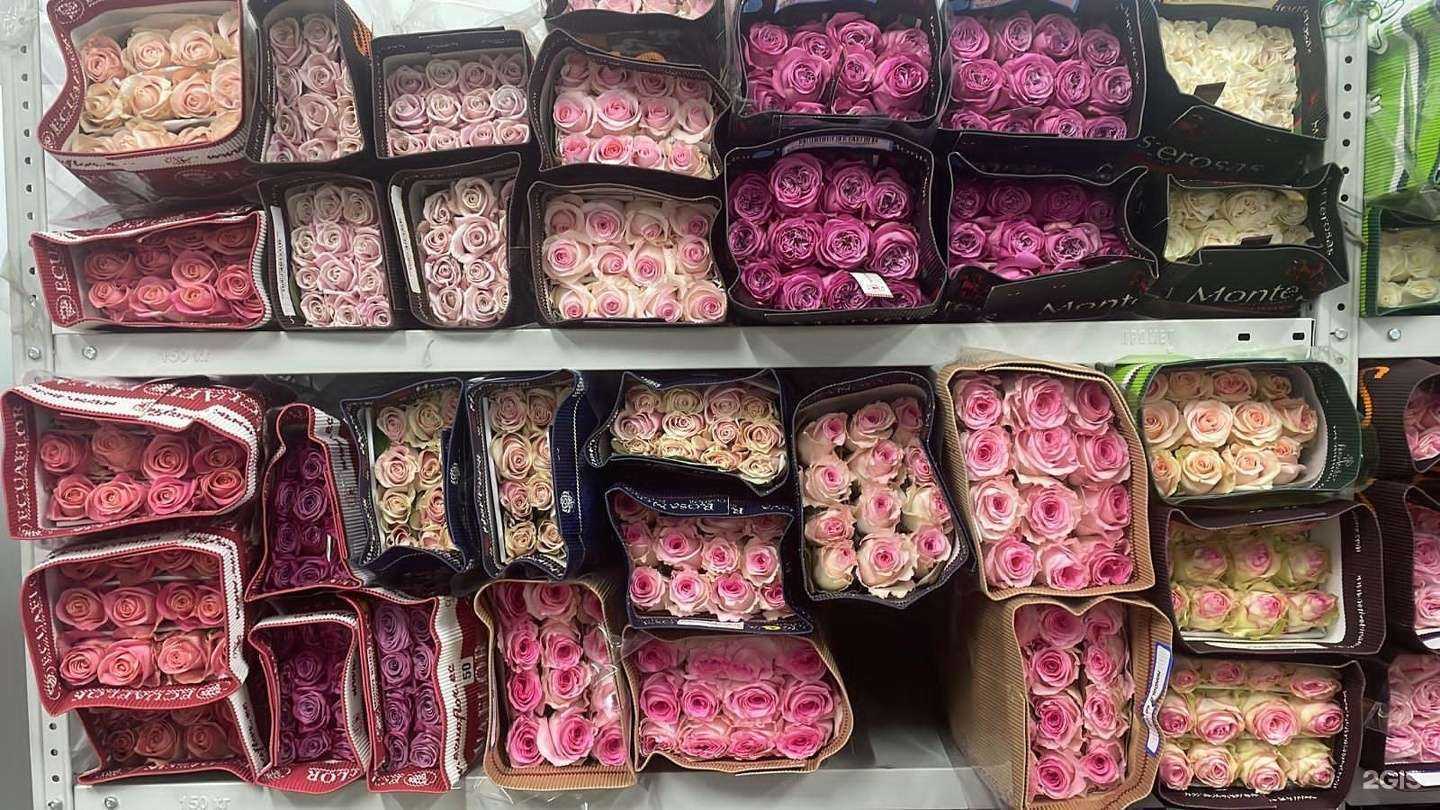 Отзывы на компанию Мальва в Уфе c фото