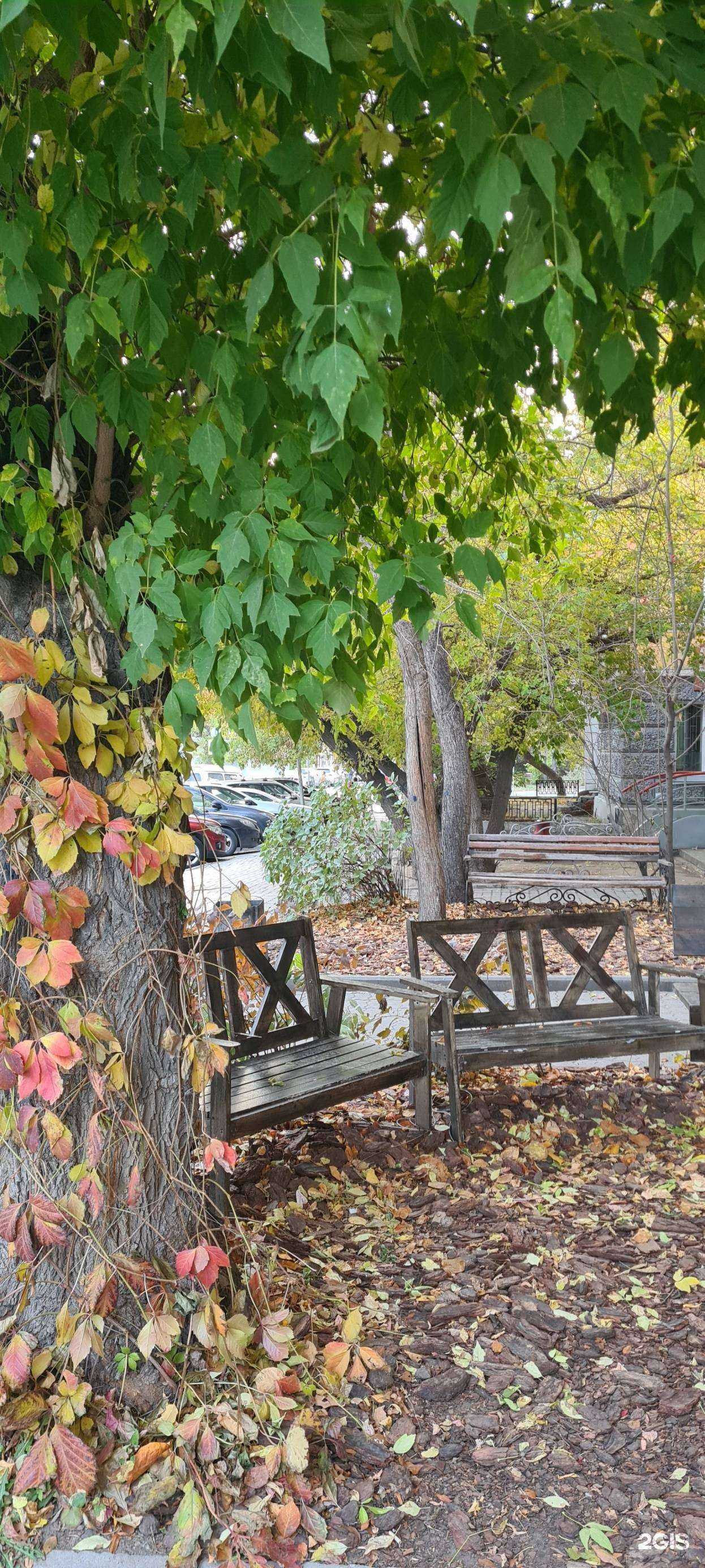 Отзывы на компанию Биомедика в Новосибирске c фото - фотография 2 из 2