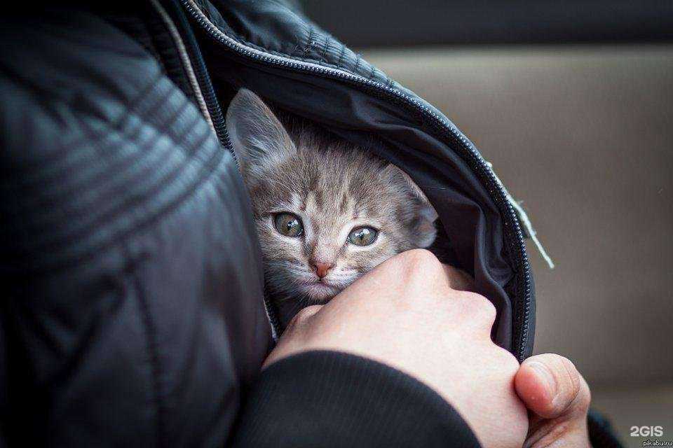 Отзывы на компанию Омега мед в Сергиеве Посаде c фото