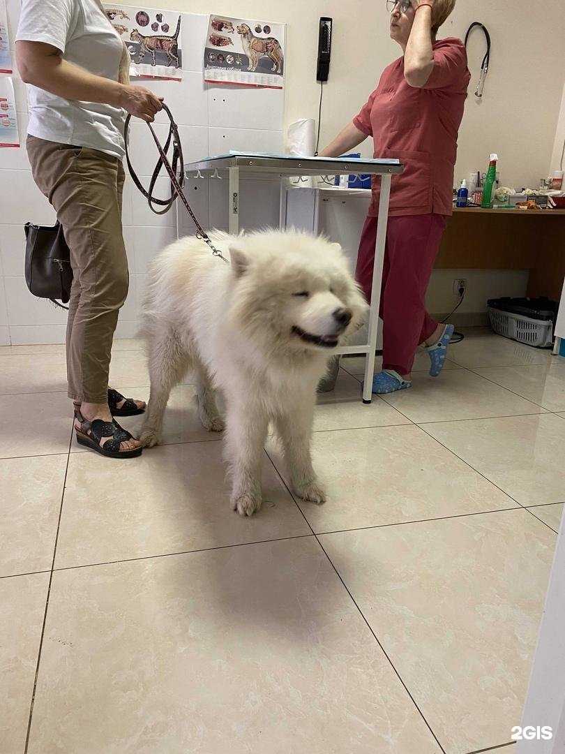 Отзывы на компанию Право на жизнь в г. Калининград c фото