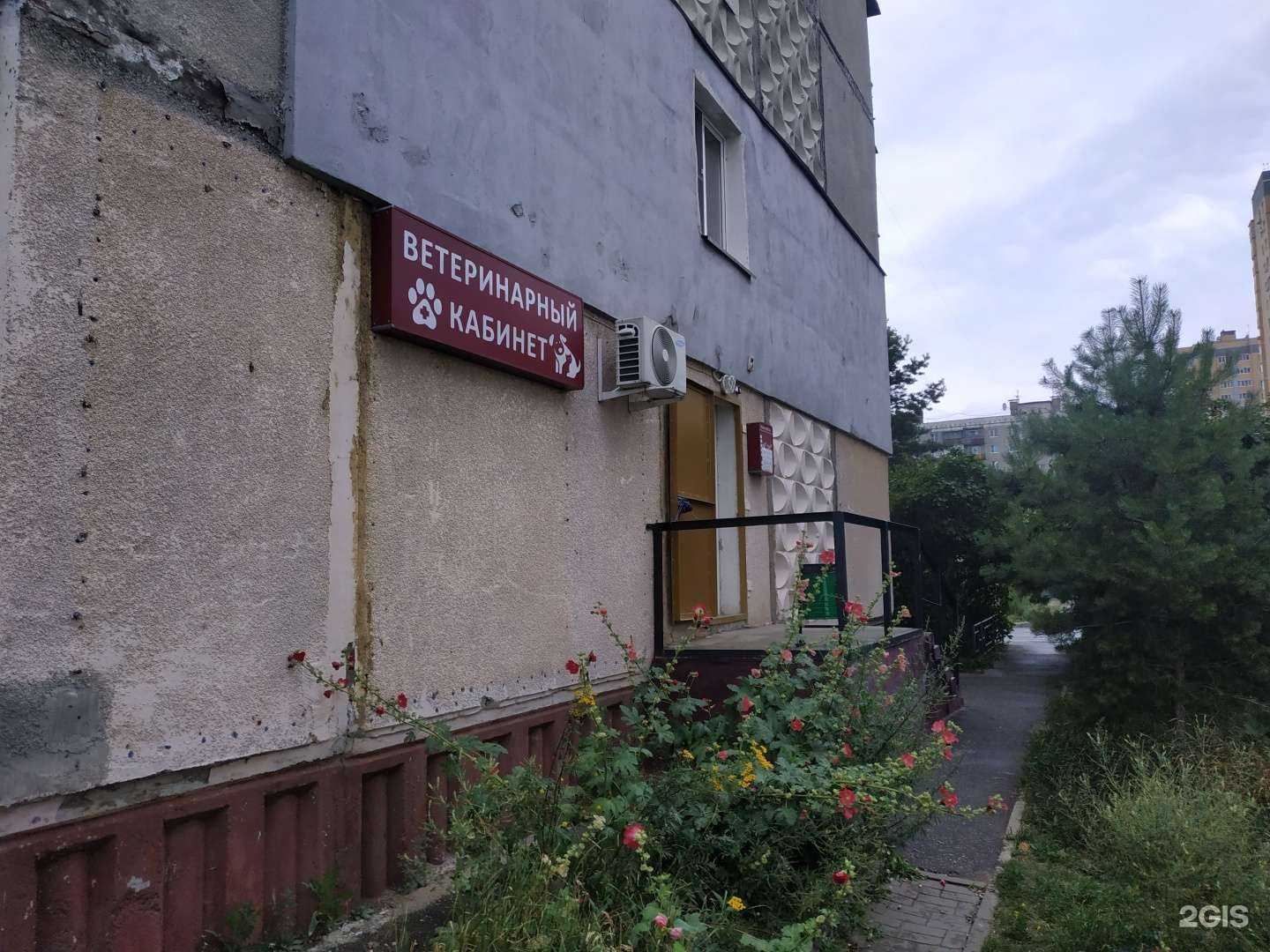 Отзывы на компанию InVet в Нижнем Новгороде c фото